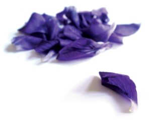 Boîte ovale - Bonbons Violette 50g